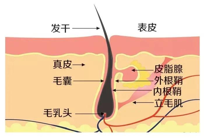 微信图片_20200525105536.jpg